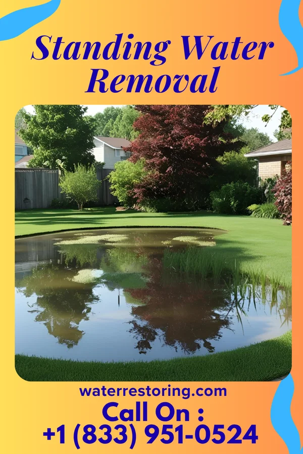 Standing Water Removal in Midland, OH